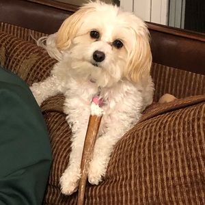 Meet your Posher, Christine